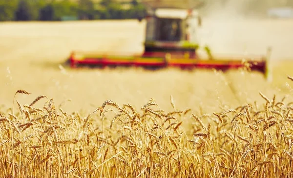 Kırsal Kalkınmaya 327 Milyar Liralık Dev Yatırım