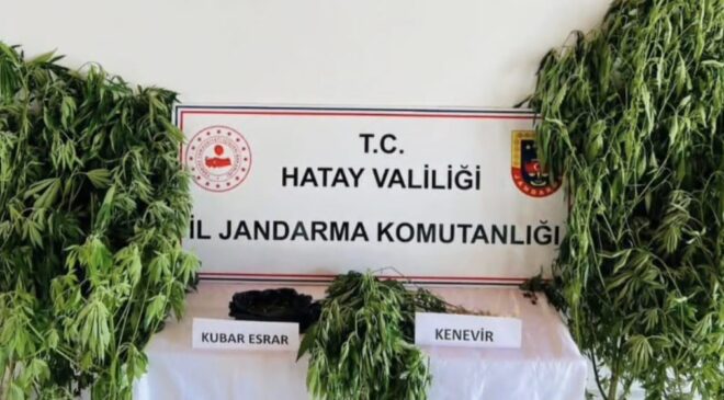 Samandağ’da Uyuşturucu Operasyonu