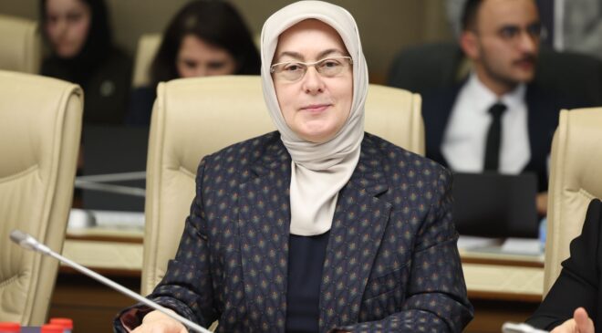 Tonami Köprüsü Çarşamba Günü Trafiğe Açılıyor