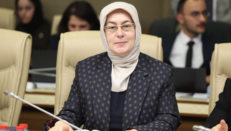 Tonami Köprüsü Çarşamba Günü Trafiğe Açılıyor