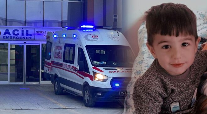 Köpek dehşetinde flaş gelişme: Belediye personeli gözaltına alındı