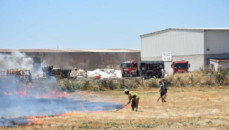 İzmir’de Geri Dönüşüm Fabrikasında Yangın Çıktı