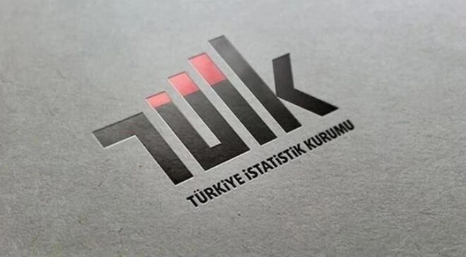 TÜİK 2025 Yılı Sanayi Ve Hizmet İstatistiklerini Açıkladı