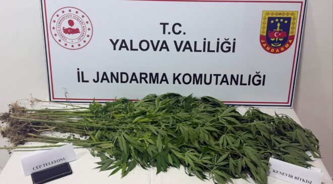 Yalova’da Jandarmadan Uyuşturucu Operasyonu: 3 Şüpheli Yakalandı